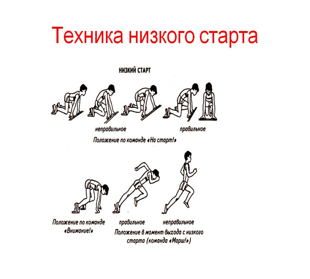 План конспект по легкой атлетике низкий старт