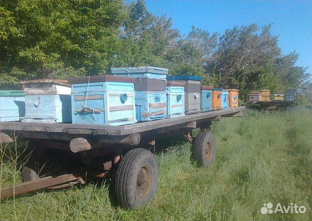 Авито телега. Тележка для пчел. Прицеп тракторный для перевозки пчел. Телега для перевозки пчел. Прицеп для пчел раздвижной.