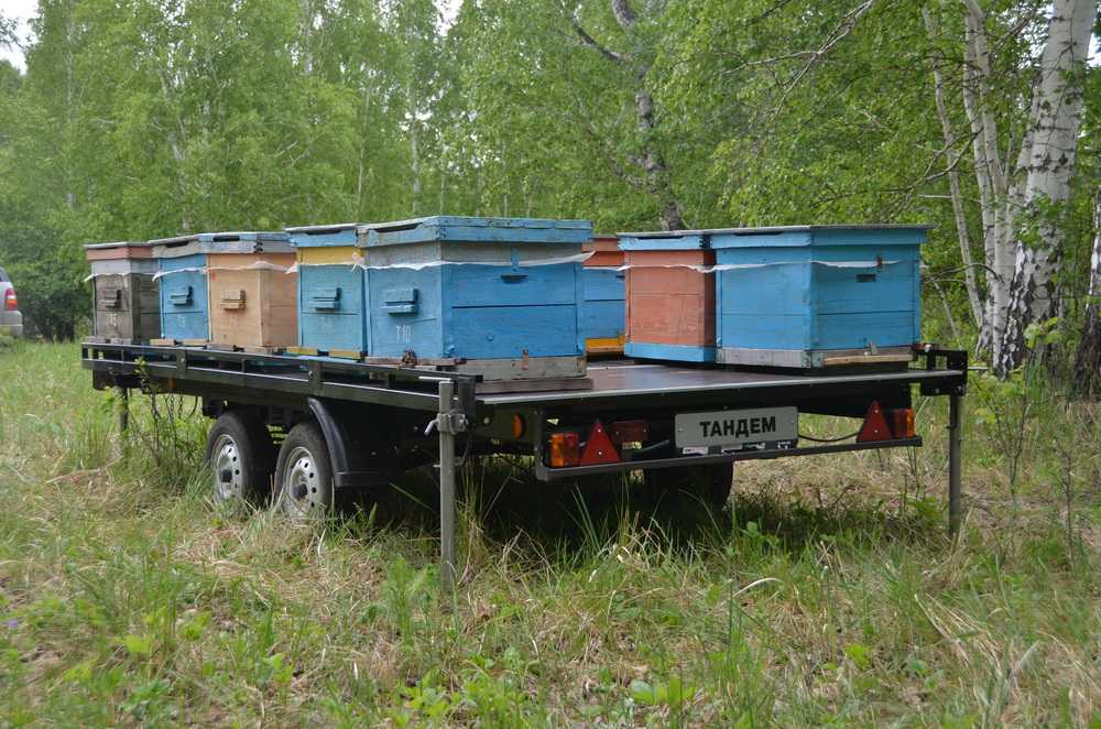 Прицепы для перевозки пчел: Прицепы для перевозки пчелиных ульев: фото, цены, отличия