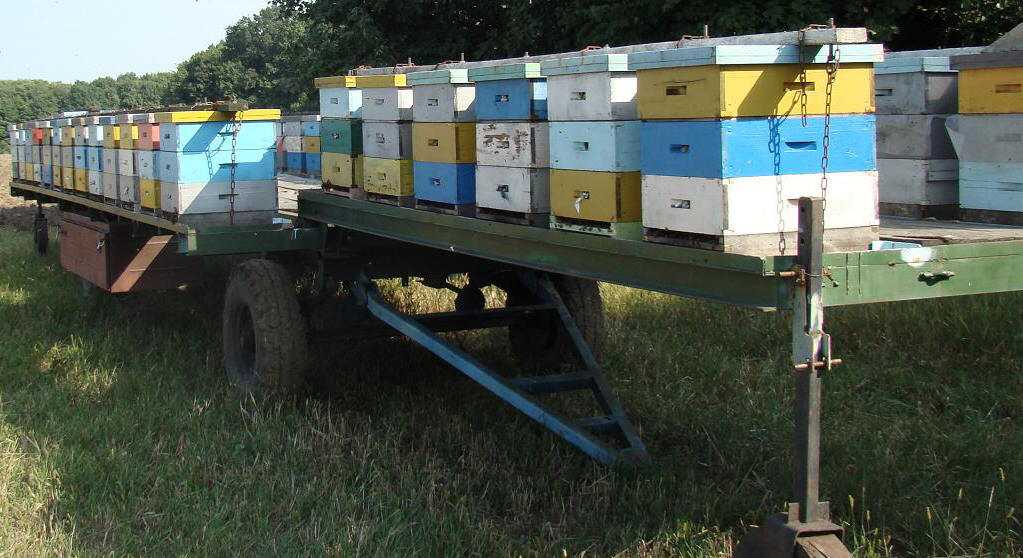 Прицепы для пчеловодства легкового автомобиля: Прицеп для автомобиля ПРОГРЕСС Пчеловод