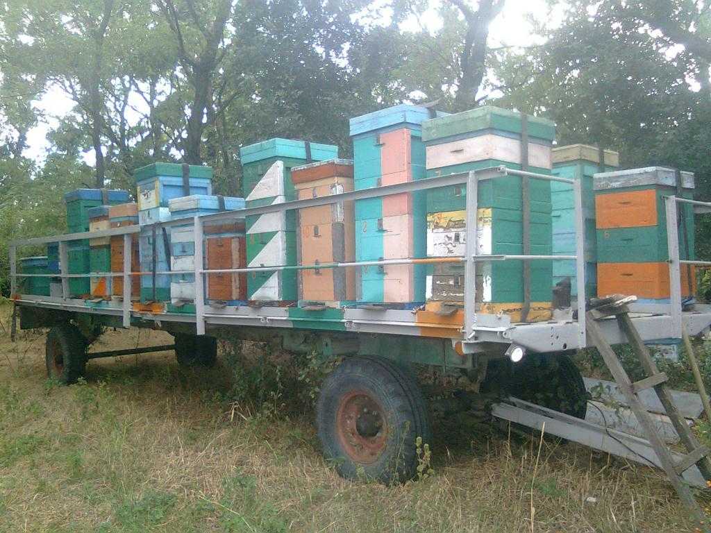 Прицепы для пчеловодства легкового автомобиля: Прицеп для автомобиля ПРОГРЕСС Пчеловод