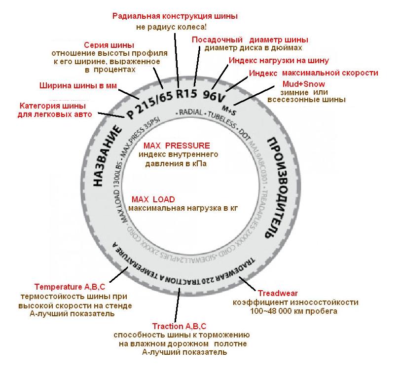 Что значит радиальная шина: Диагональные и радиальные шины