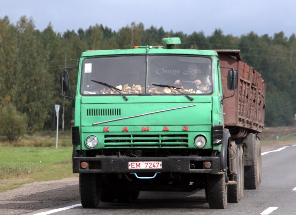 Номер грузовой машины. КАМАЗ 150 регион. Белорусский КАМАЗ. КАМАЗ В Белоруссии. Номер грузовика.