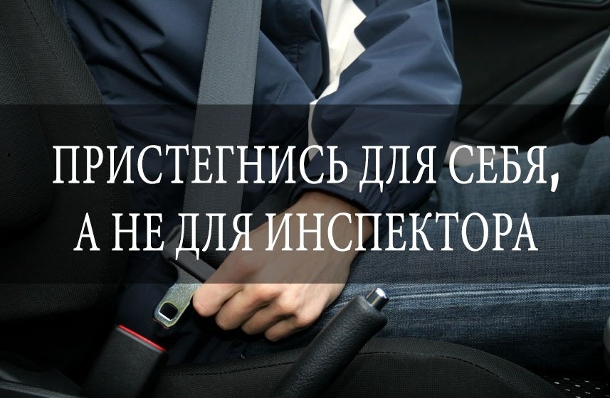 Штраф за ремень пассажира: за непристегнутый ремень заплатят и водители, и пассажиры