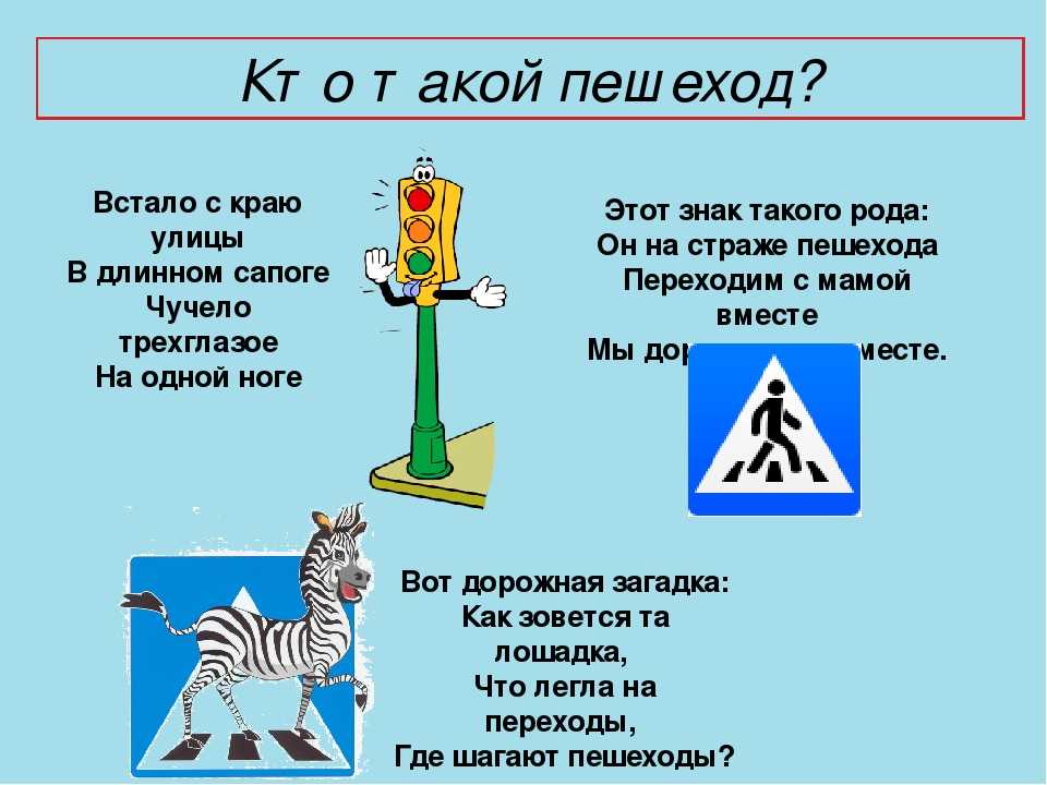 Пдд зебра картинка