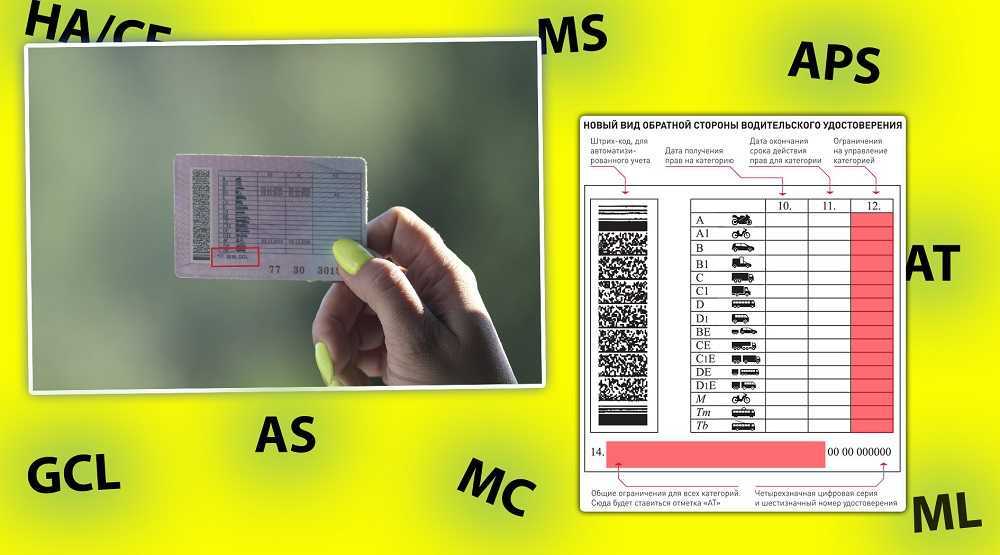 Что означает отметка as в водительском удостоверении: Что обозначает отметка AS или MS возле категории В1 в водительских правах