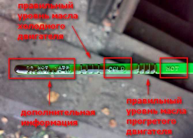 Как правильно проверить уровень масла: Как проверить уровень и долить масло в двигатель автомобиля? Автоблог Авилон