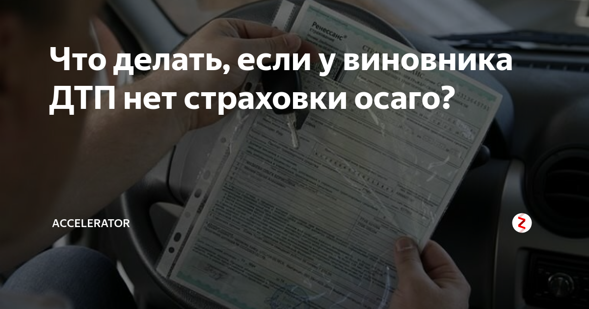 Что делать пострадавшему в дтп: Как правильно вести себя после ДТП