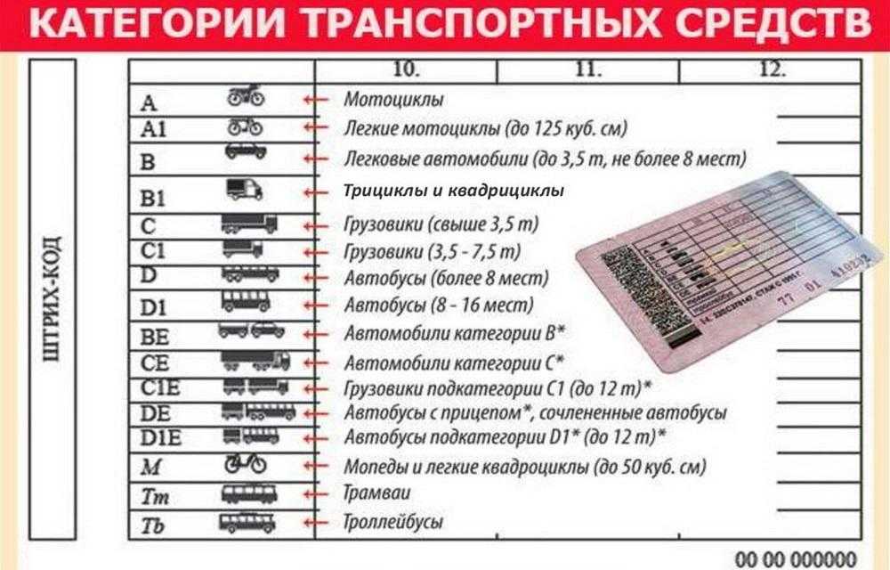 Расшифровка категорий водительских: Категории водительских прав: виды, расшифровка :: Autonews