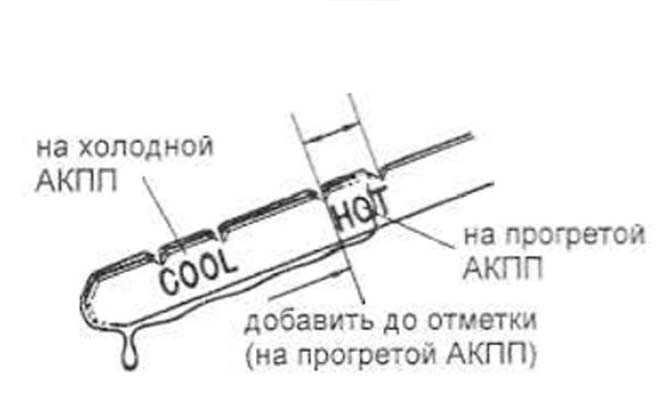 Как правильно проверить масло в коробке автомат: Как проверить уровень масла в автоматической коробке передач?