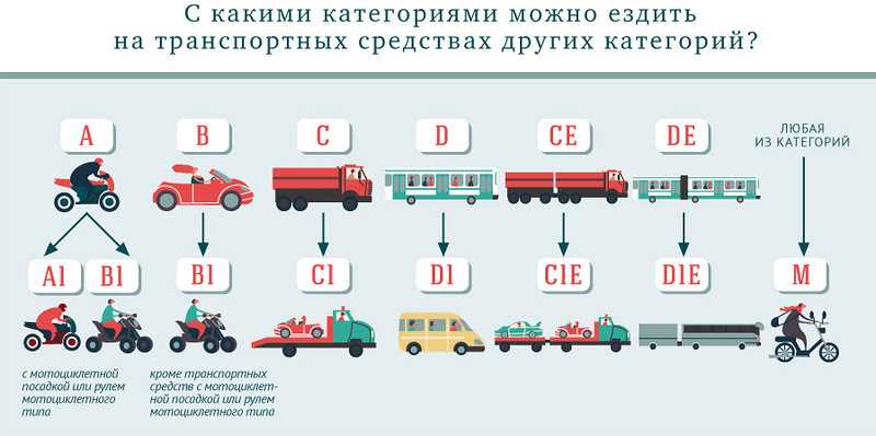 Категория прав ве: Категории водительских прав: виды, расшифровка :: Autonews