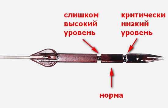 Какой уровень масла должен быть в двигателе: Как проверить уровень и долить масло в двигатель автомобиля? Автоблог Авилон