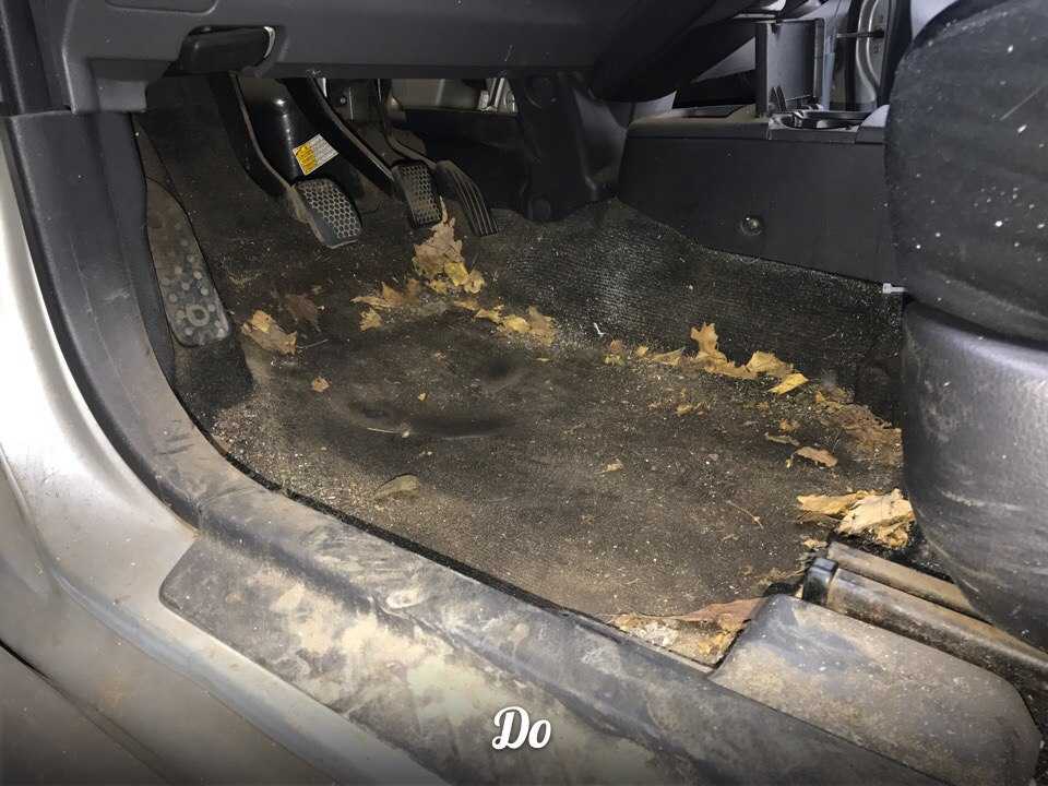 Как высушить пол в машине: Как высушить пол салона автомобиля под ковриком