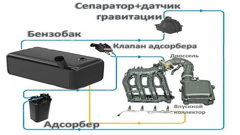 Как работает абсорбер топливных паров: Неисправности адсорбера паров бензина