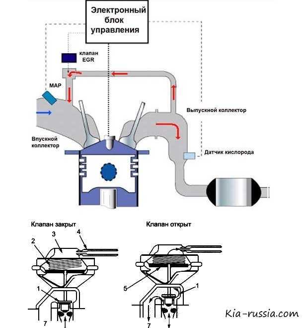 Клапан егр принцип работы: Принцип работы EGR