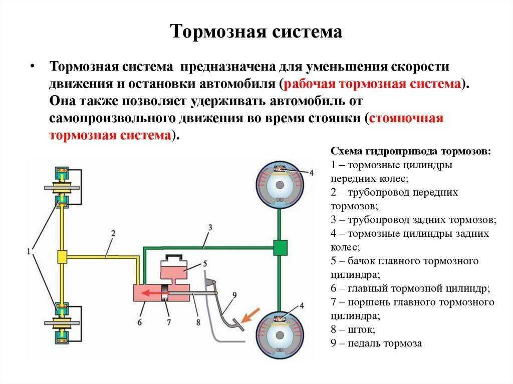 Виды торможения автомобиля: служебное, экстренное и аварийное торможение прерывистым и ступенчатым способом