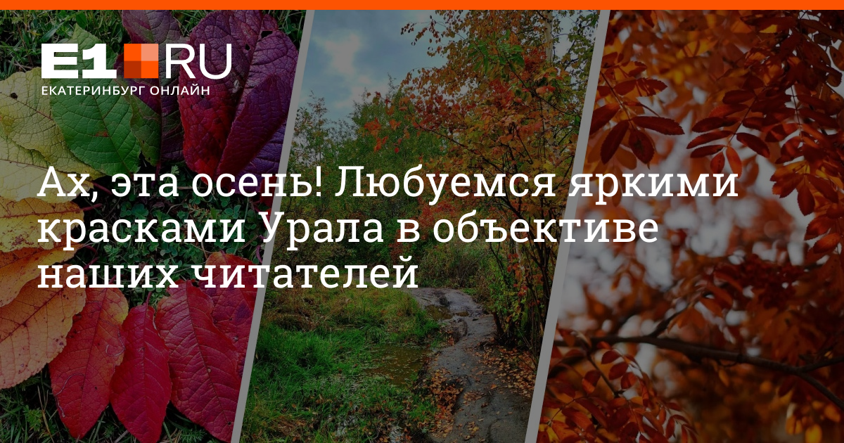 Болезни водителей: как сохранить здоровье за рулем