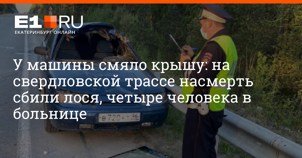 Штраф за сбитого лося на дороге: Штраф за сбитого лося на дороге в 2023 году 2023