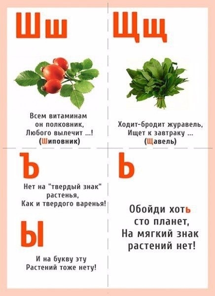 Надо клеить букву ш или нет: Клеить или нет знак «Шипы» в 2021 году. Нюансы :: Autonews