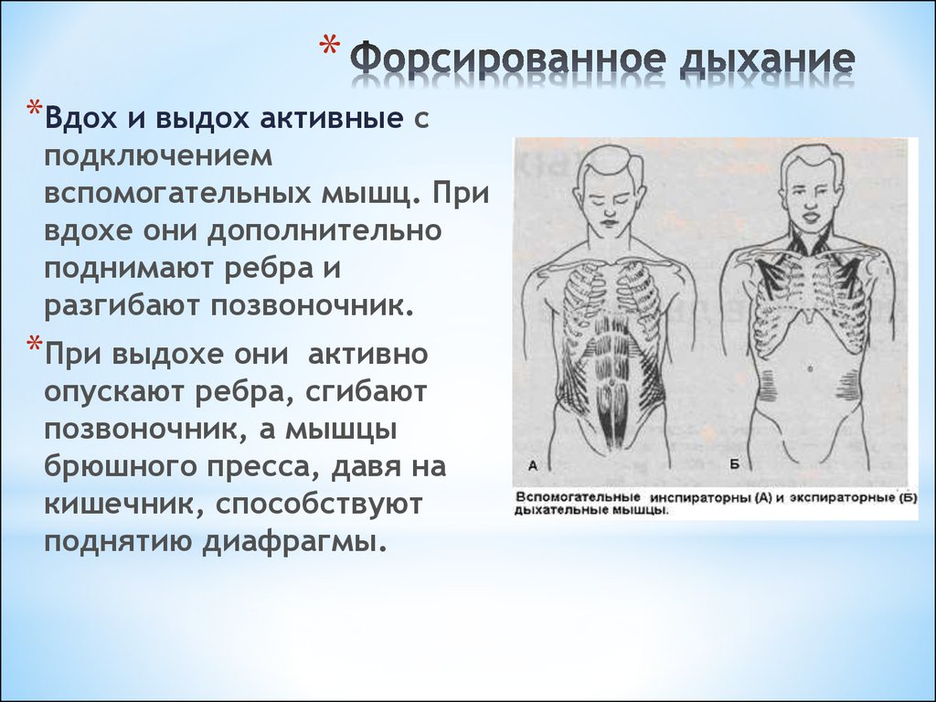 Что такое форсированный: ФОРСИРОВАННЫЙ | это... Что такое ФОРСИРОВАННЫЙ?