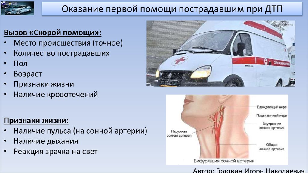 Что делать пострадавшему в дтп: Как правильно вести себя после ДТП