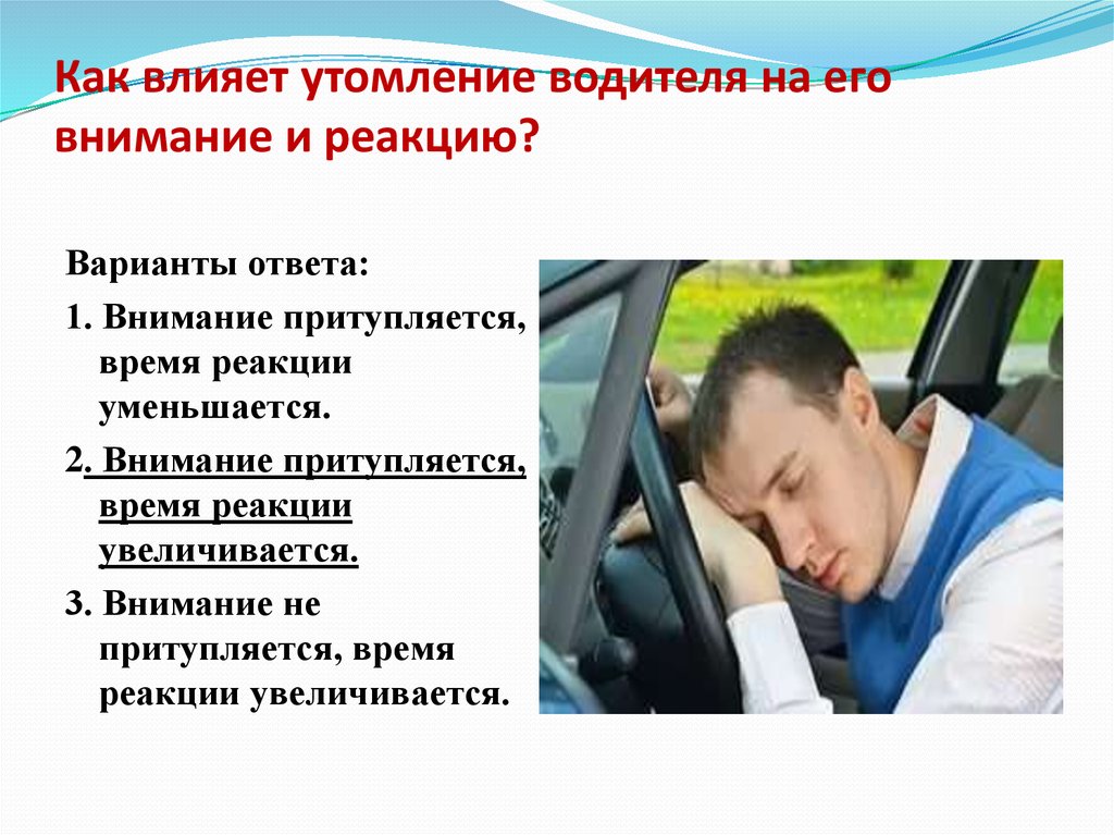 Как не спать за рулем: Как не уснуть за рулем: секреты бодрости для автотуристов