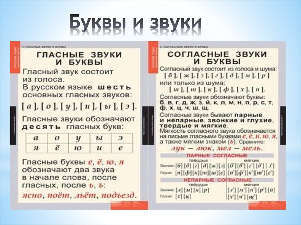 Буква ш отменили этот закон: Знак Шипы – отменили или нет (2023 год)?