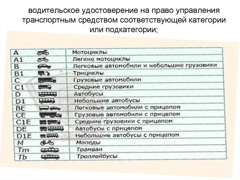 Расшифровка категорий в водительском удостоверении нового образца