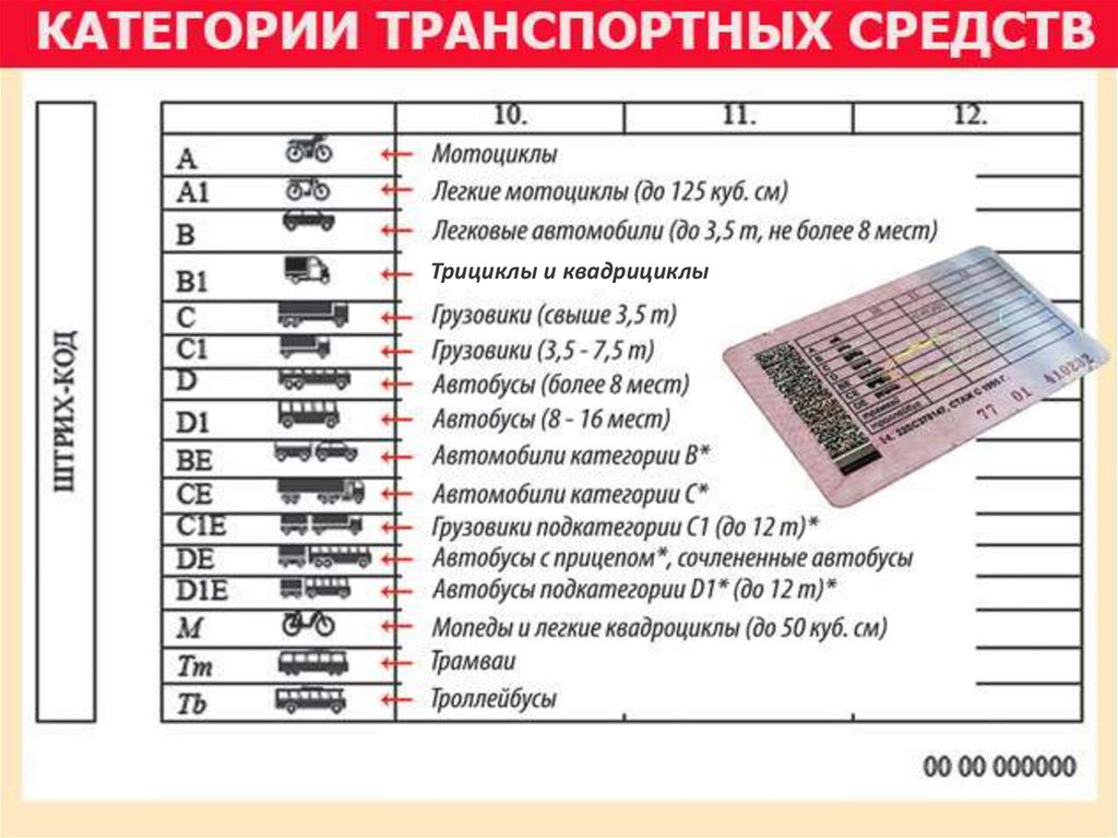 Что значит отметка as на правах: Что означает AS в правах — расшифровка отметки as в 12 пункте водительского удостоверения категории В и В1