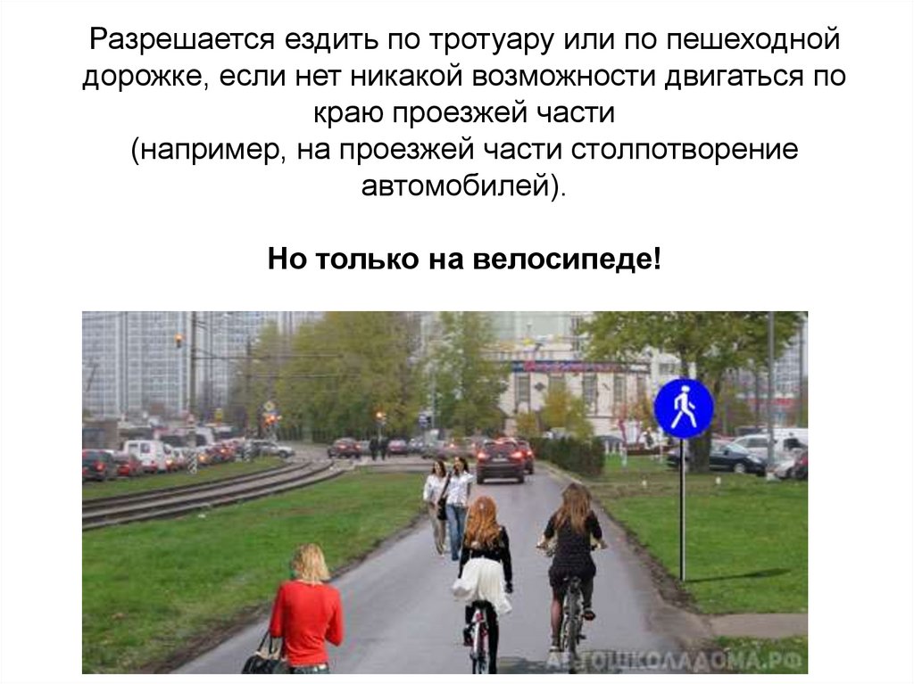 Можно передвигаться по области. Пешеходная и велосипедная дорожка. Велосипедист на пешеходной дорожке. Движение велосипедистов по тротуару. Разрешено ли велосипедистам ездить по тротуарам пешеходным дорожкам.