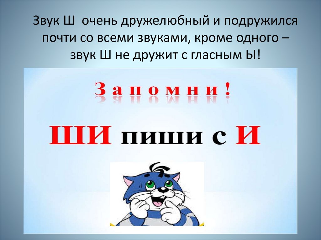 Буква ш отменили этот закон: Знак Шипы – отменили или нет (2023 год)?