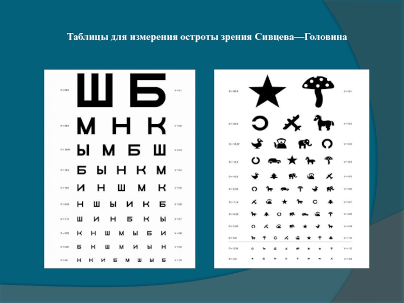 Проверка глаз. Таблица для измерения остроты зрения Сивцева. Острота зрения Сивцева Головина. Таблица Головина Сивцева на a4. Таблица для проверки остроты зрения у детей.