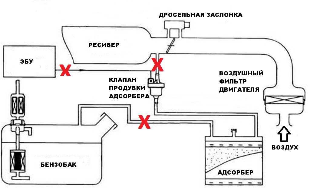 Адсорбер топливного бака: Неисправности адсорбера паров бензина