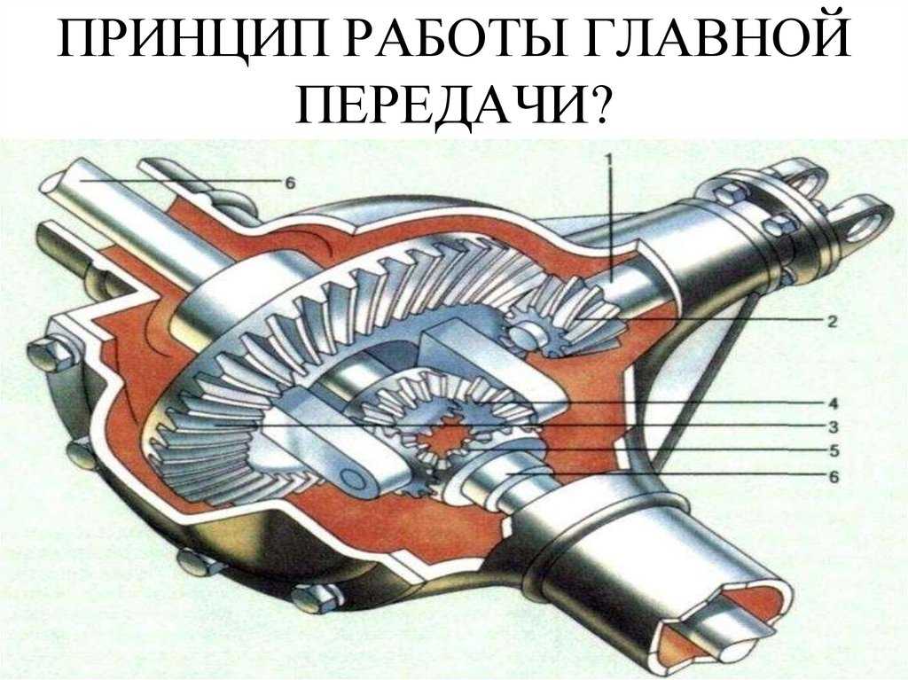 Назначение дифференциала: ᐉ Дифференциал. Назначение и основные типы