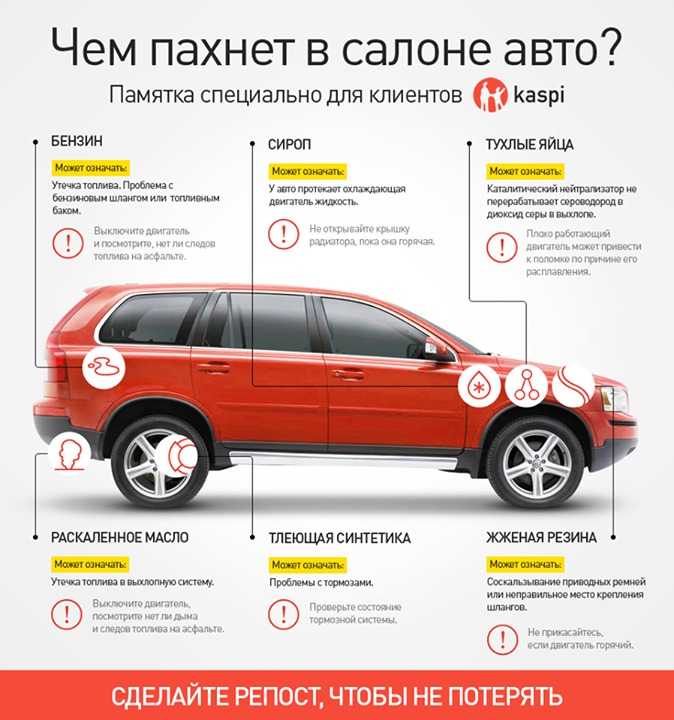 Что должен знать начинающий водитель: Что нужно знать автомобилисту: советы начинающим водителям