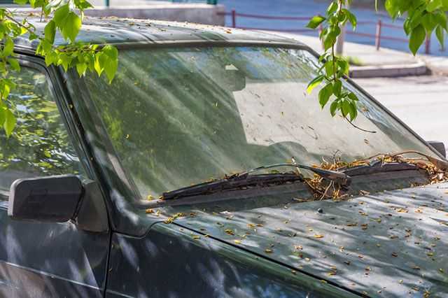 Как отмыть смолу с машины: Чем оттереть смолу с автомобиля