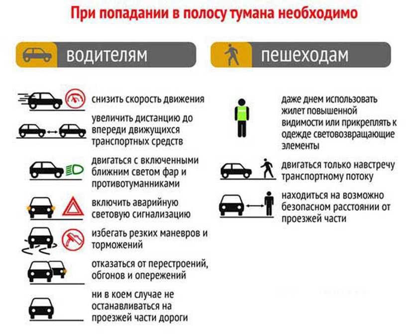 Советы водителям новичкам: Полезные советы начинающим автомобилистам