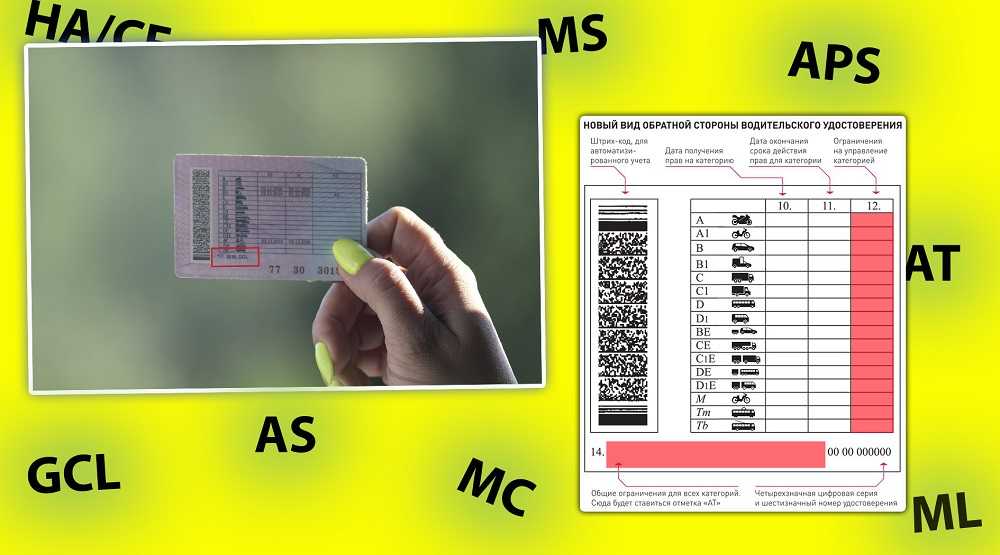 В правах отметка as что значит: Что обозначает отметка AS или MS возле категории В1 в водительских правах