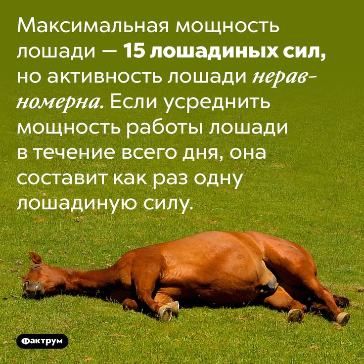 Почему измеряют в лошадиных силах: Почему мощность измеряется в лошадиных силах?