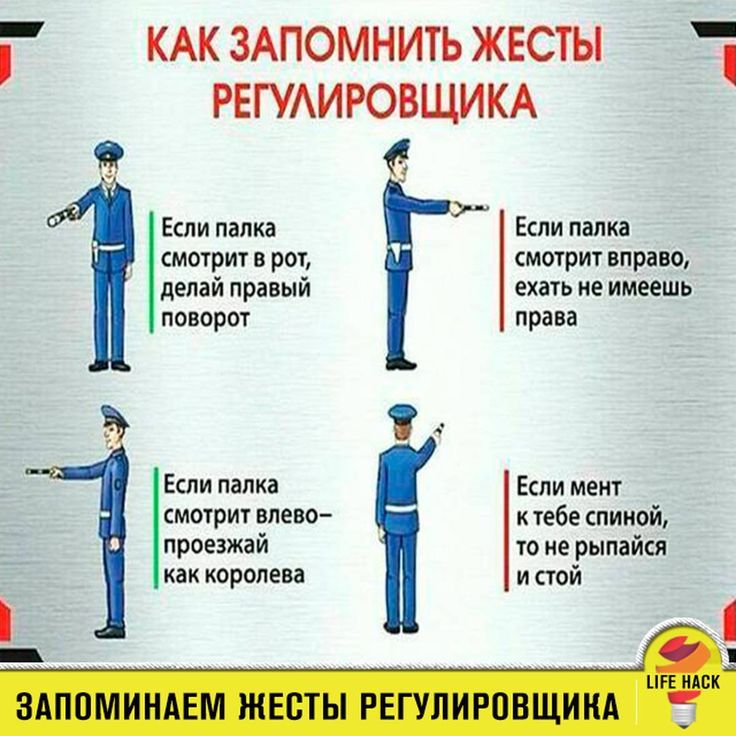 Дорожные знаки регулировщика: Сигналы регулировщика с пояснениями