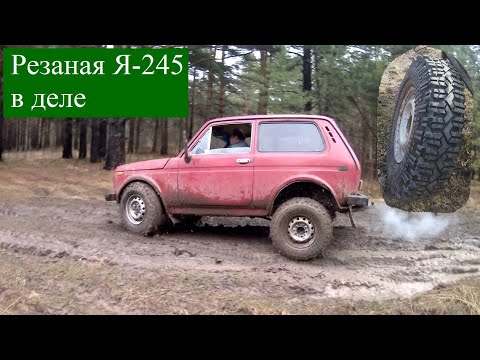 Нива на уазовских колесах: 4x4 2121 1996 , 21213, , 800 , 1.6 , /, ,