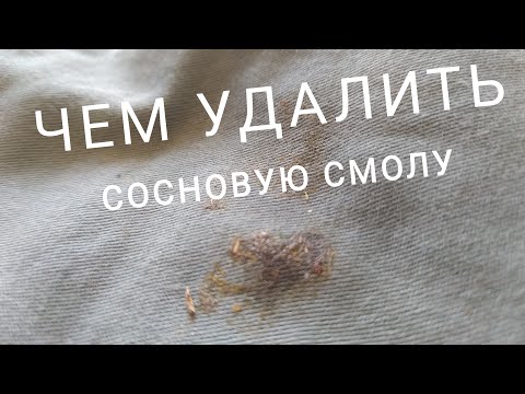 Чем отмыть сосновую смолу: Как и чем отмыть смолу с рук и других участков кожи, а также оттереть с волос