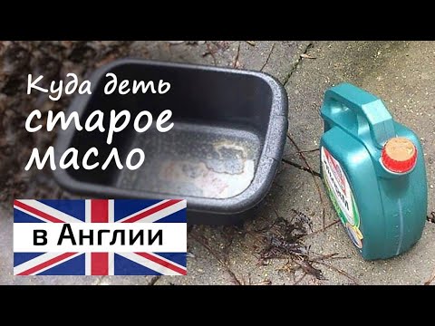 Куда деть отработанное масло: Куда деть отработанное масло