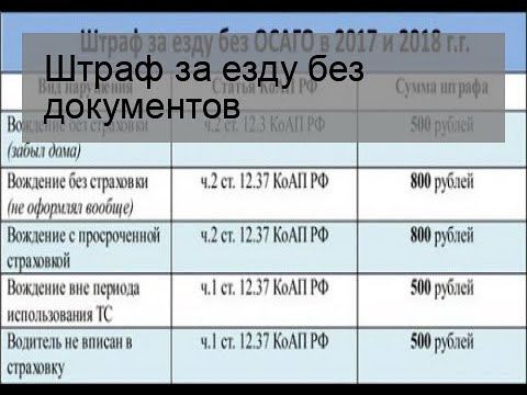 Штраф за отсутствие документов: Все нюансы вопроса, какой штраф за езду без прав возлагается на нарушителя