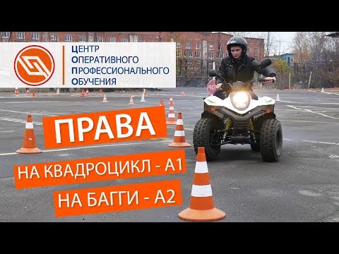 Как выглядят права на квадроцикл: как они выглядят и где их получить