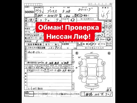 Аукционный лист расшифровка: Как читать аукционный лист? Расшифровка.