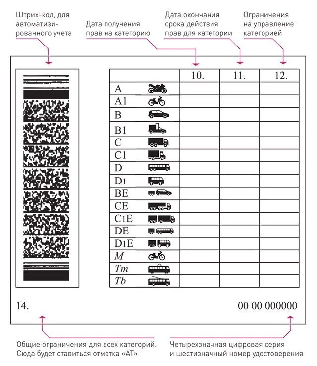 Расшифровка категорий водительских: Категории и подкатегории водительских прав в 2023 году - Оренбург