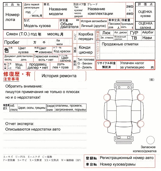 Расшифровка аукционных листов: Как читать аукционный лист? Расшифровка.