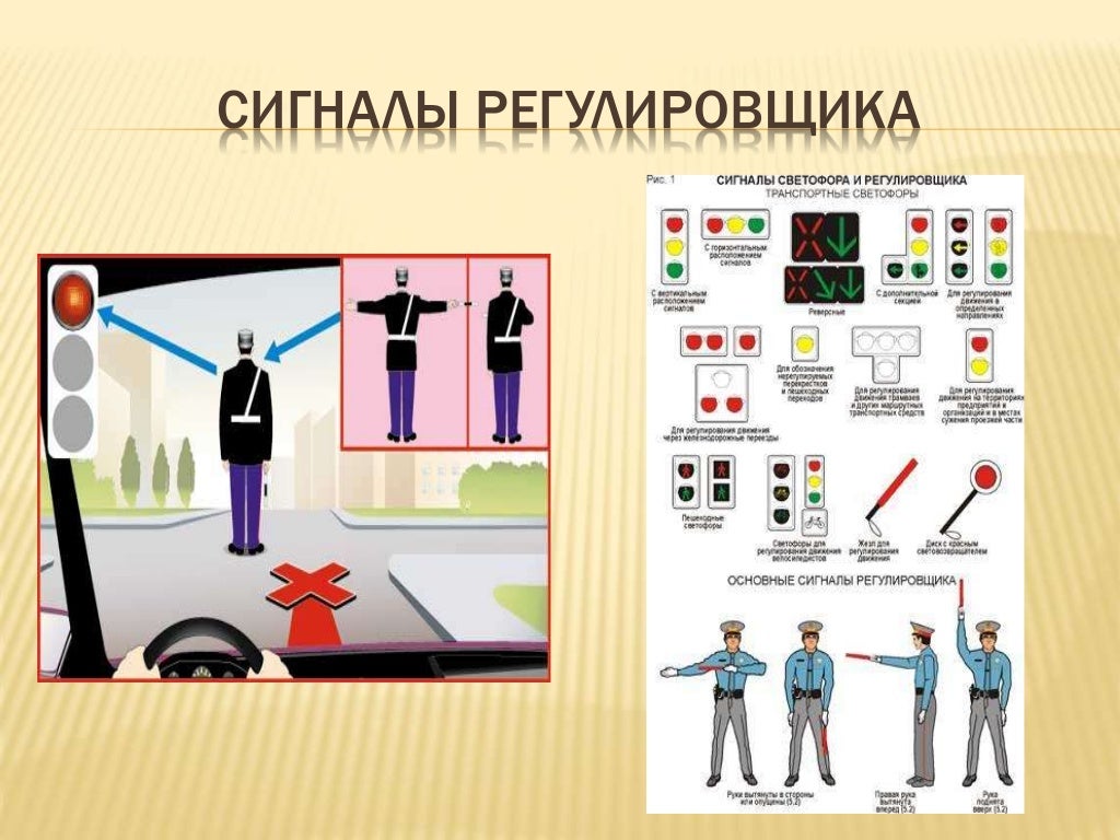 Картинки регулировщика дорожного движения быстрой запомнить