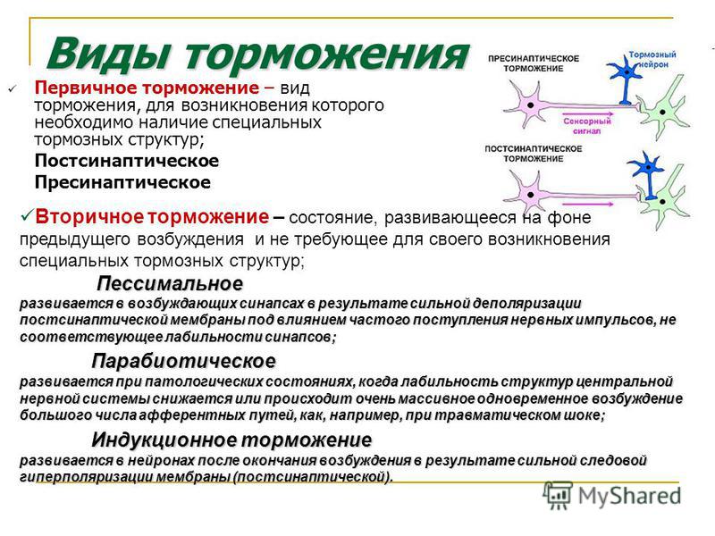 Типы возбуждения